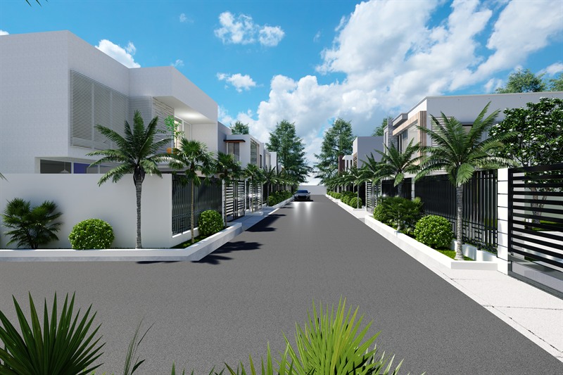 The internal street at Bridge City Estate, palms and clipped shrubs in raised beds along both frontages.