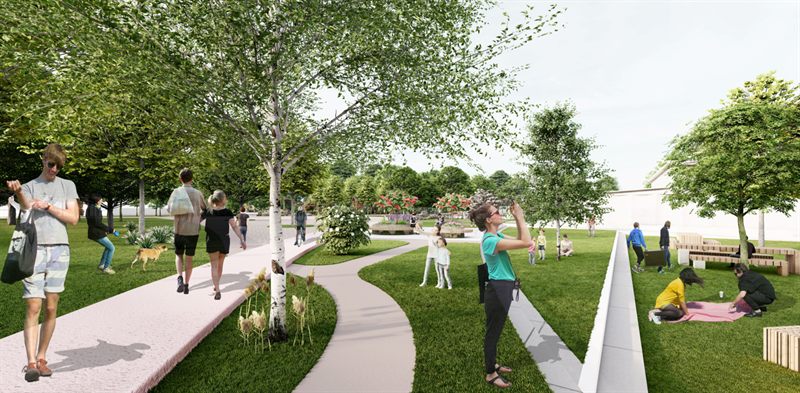 The social meeting place: a pink dyed-concrete path curving between birch trees and lawn, a lighter path branching toward the Dorfanger, circular planters with flowering shrubs in the distance, timber tiered seating to the right, and people walking a dog, taking photographs and picnicking on a blanket.