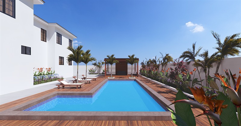 The pool and timber deck, with a pergola at the far end and planting along the wall.