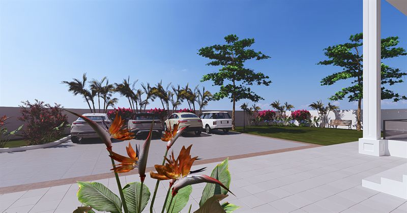 The parking court: cars against a low wall, palms and bougainvillea along the boundary behind them, a large tree at the centre, and bird-of-paradise planting in the foreground.